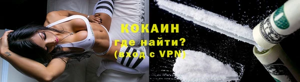 спайс Алзамай
