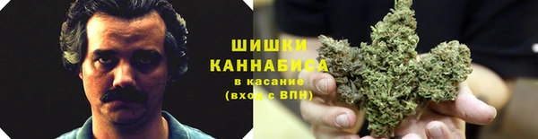 спайс Алзамай