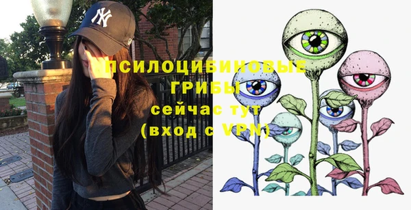 спайс Алзамай