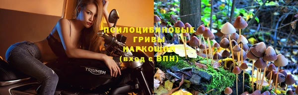 спайс Алзамай