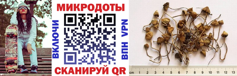 Галлюциногенные грибы MAGIC MUSHROOMS  Солигалич 